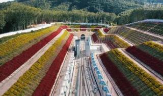 中老铁路12月2日通车 中老铁路12月2日通车